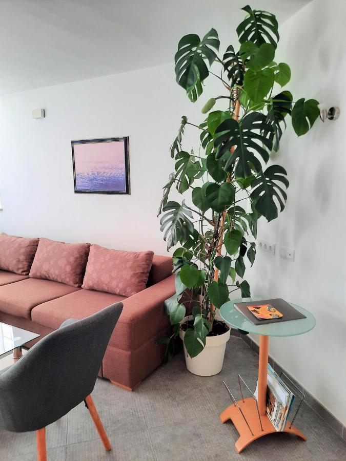 Apartment Mato Barbariga Bagian luar foto